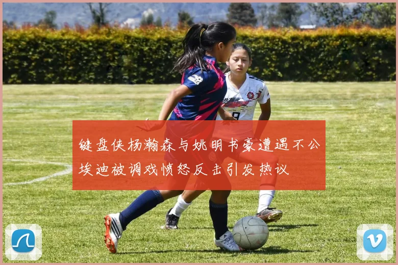 键盘侠杨瀚森与姚明书豪遭遇不公埃迪被调戏愤怒反击引发热议
