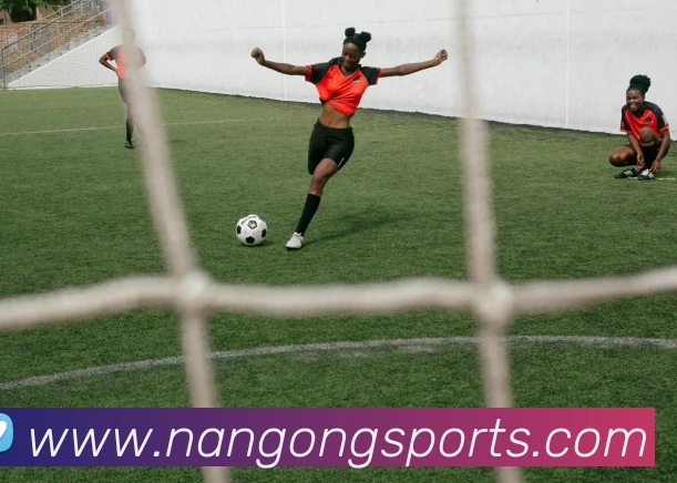 南宫体育APP 封面图